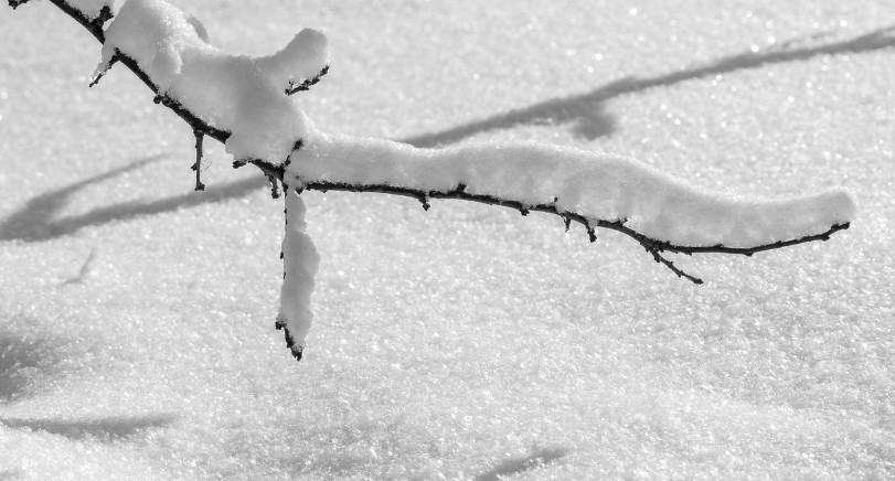 Niskie temperatury zagrażają życiu. Zadbajmy o najsłabszych