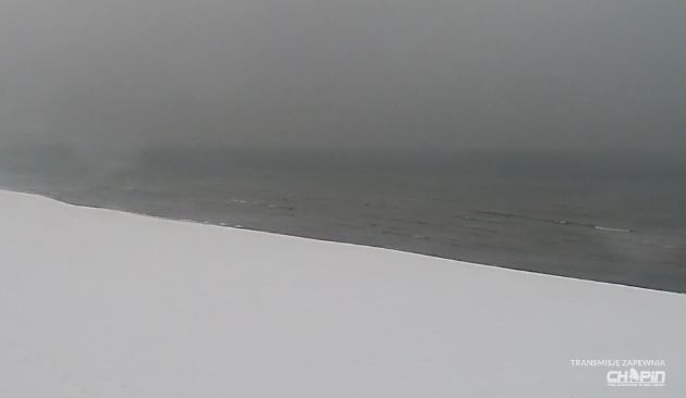 Bałtyk z rekordowo niskim poziomem wody. Instytut Oceanologii PAN alarmuje: to najniższy stan od 1886 roku