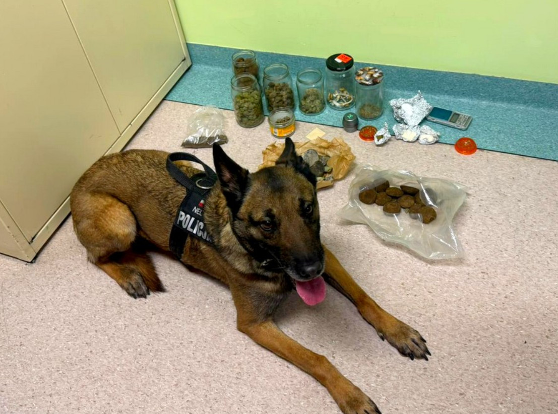 Ćwierć kilograma narkotyków w mieszkaniu. 26-latek z poważnym zarzutem