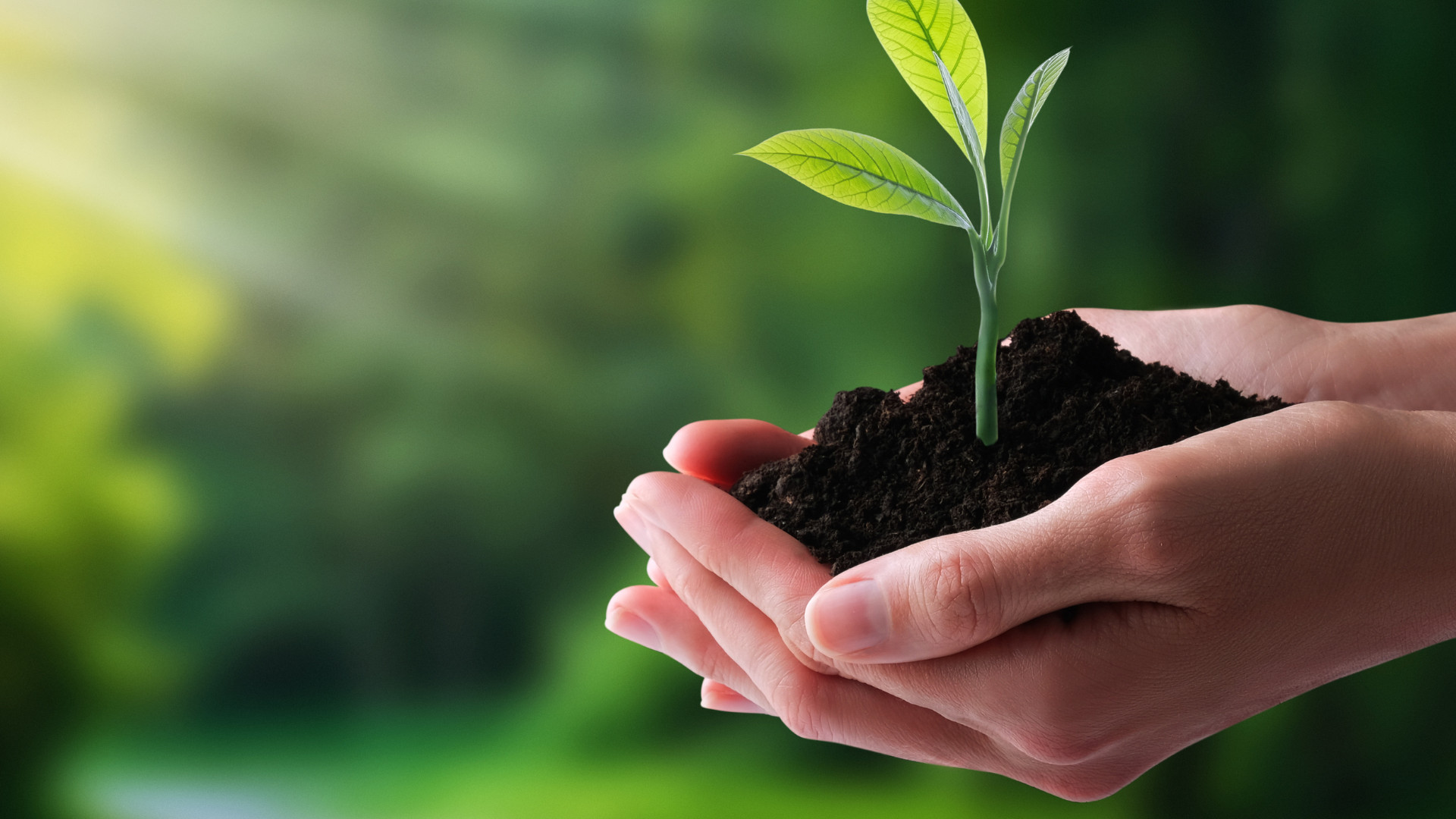 Trwa nabór do konkursu ekologicznego. Sołectwa mogą zaprezentować swoje działania na rzecz środowiska