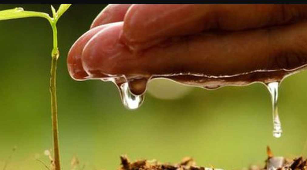 22 kwietnia na Kociewiu. Ekologia w lokalnym wydaniu