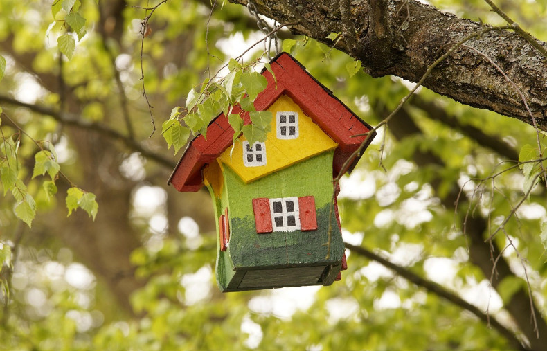 Dokarmiasz ptaki? Sprawdź, który karmnik będzie najbezpieczniejszy