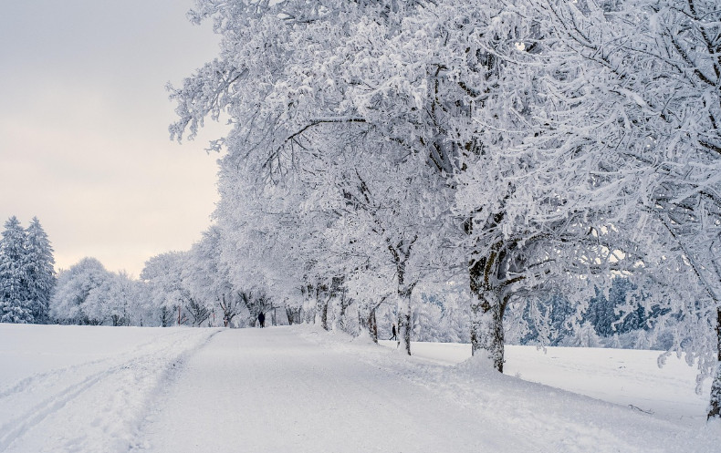 Zimowy test dla szkół. Mróz zamyka placówki