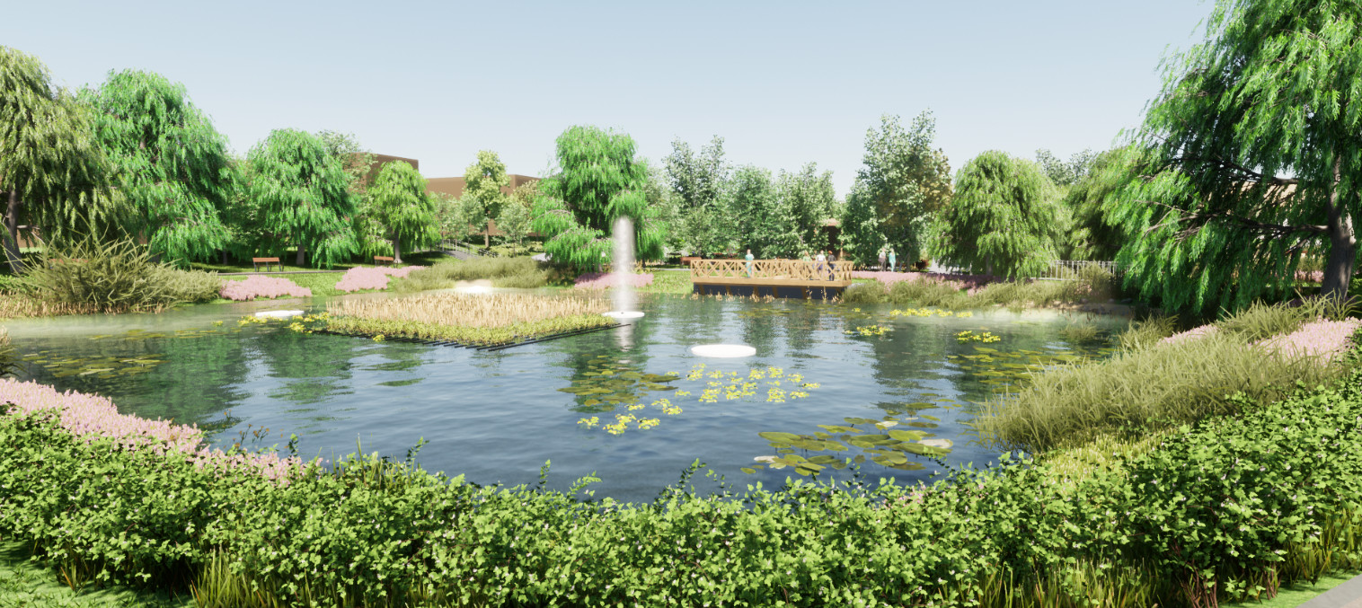 Mały Blankusz bez wycinki drzew. Gmina uspokaja mieszkańców