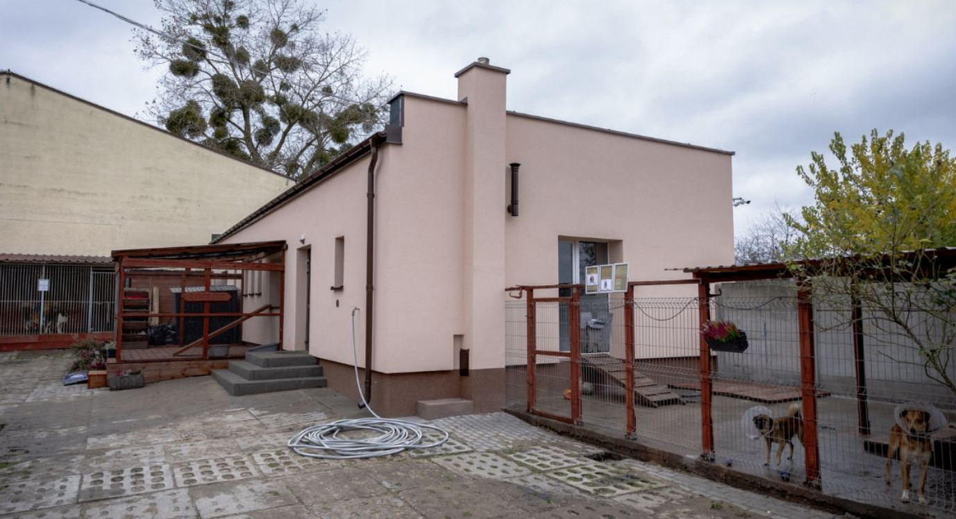 Nowy dach nad psimi głowami. Miasto zmodernizowało schronisko dla zwierząt