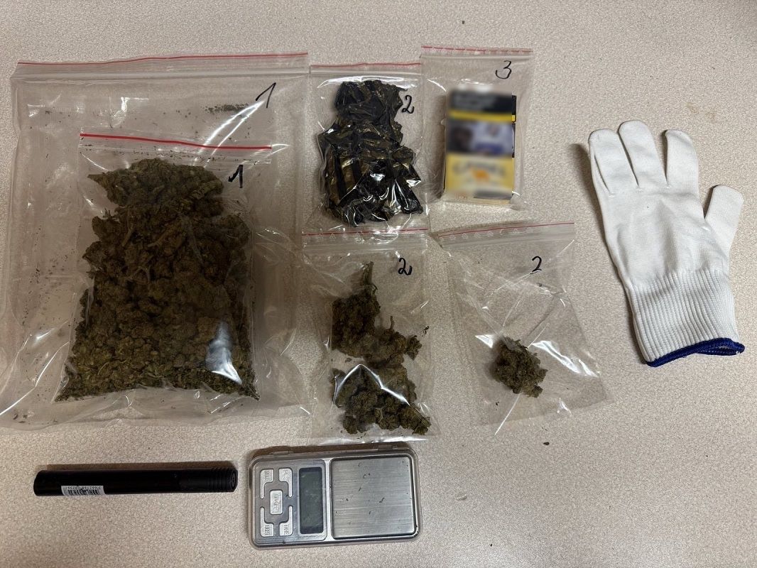 Kontrola drogowa zakończyła się zatrzymaniem. Kierowca wpadł z narkotykami