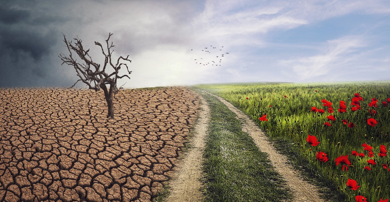 Miasto wobec wyzwań klimatycznych