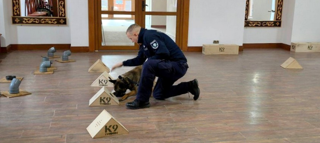 Na tropie zagrożeń. Nel i jej przewodnik wrócili z międzynarodowego szkolenia