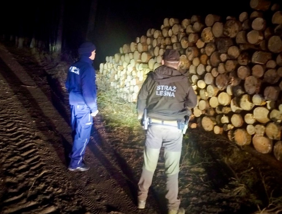Akcja 'Choinka' na terenie nadleśnictwa. Policja i straż leśna patrolują lasy