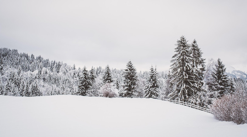 Siarczyste mrozy wracają. W prognozach choćby -20 stopni