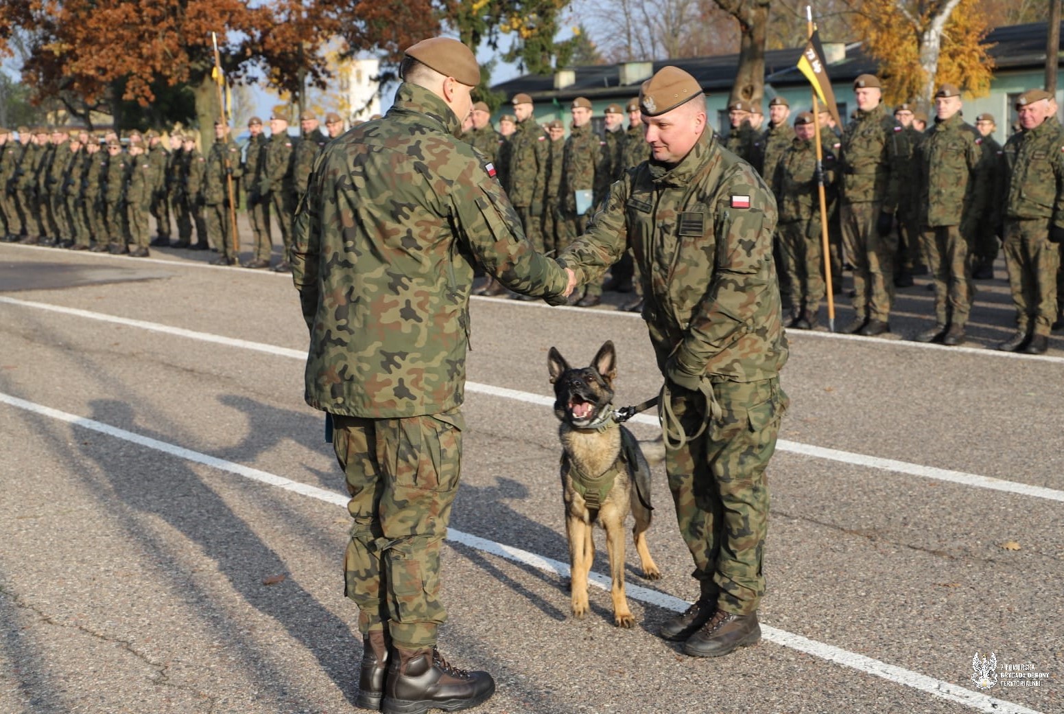 Wyróżnienia i awanse w 7 PBOT. Wśród nagrodzonych także czworonożny żołnierz Riko