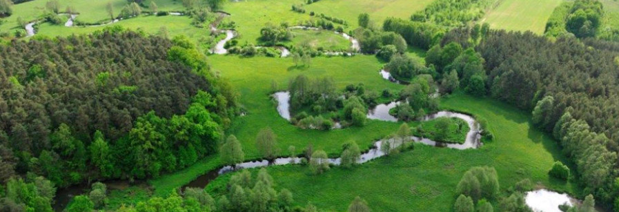 Dzień Ziemi 2026. Święto, które zmieniło sposób myślenia o planecie