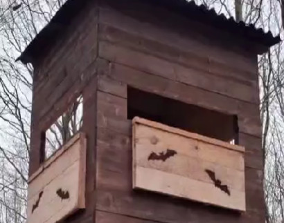 Panele dla nietoperzy na ambonach myśliwskich. Pierwszy taki projekt w Polsce