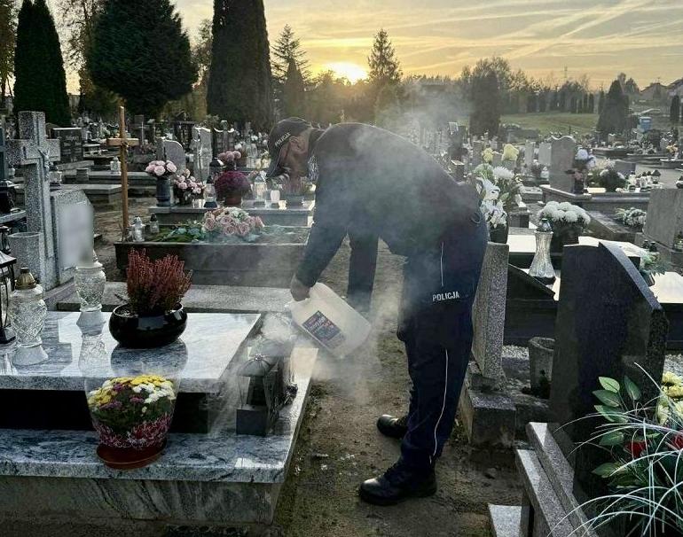 'Mogło dojść do większego pożaru'. Policja gasiła ogień na cmentarzu