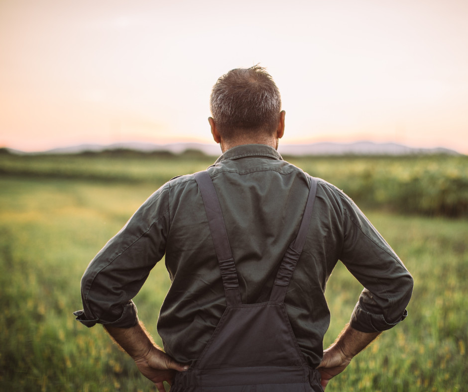 Rolniku, poniosłeś straty? Możesz jeszcze złożyć wniosek