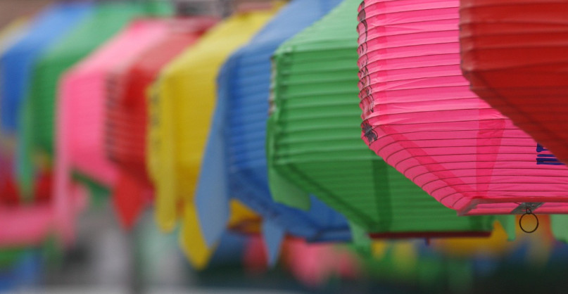 Pierwsze urodziny Strefy Sowa. Naukowy event z atrakcjami