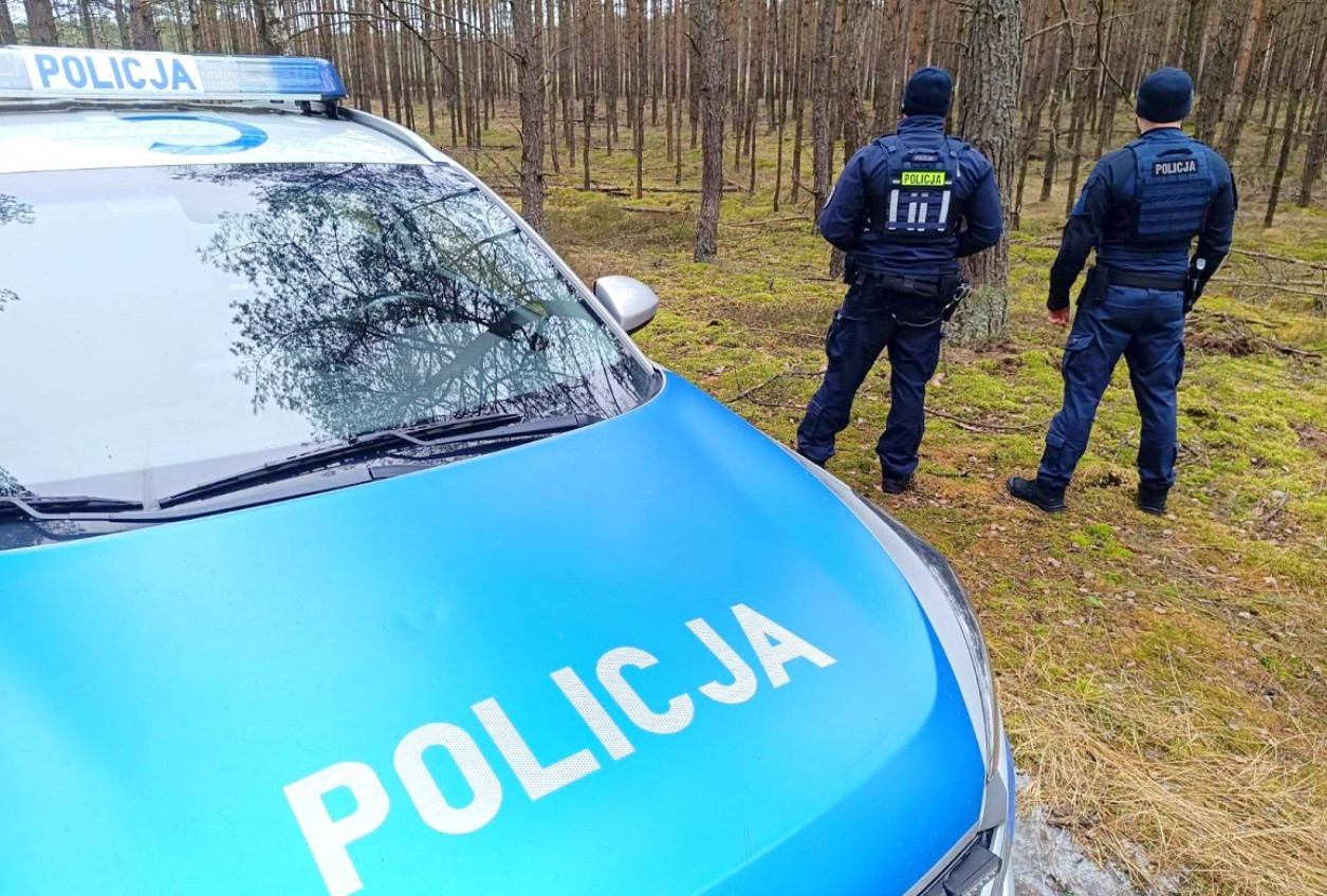 Wspólne patrole w lasach. żabolenci i strażnicy leśni walczą z kłusownictwem