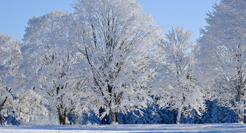 Baśniowe Kociewie zimą. Jak śnieg zmienia zamki i drewniane chaty
