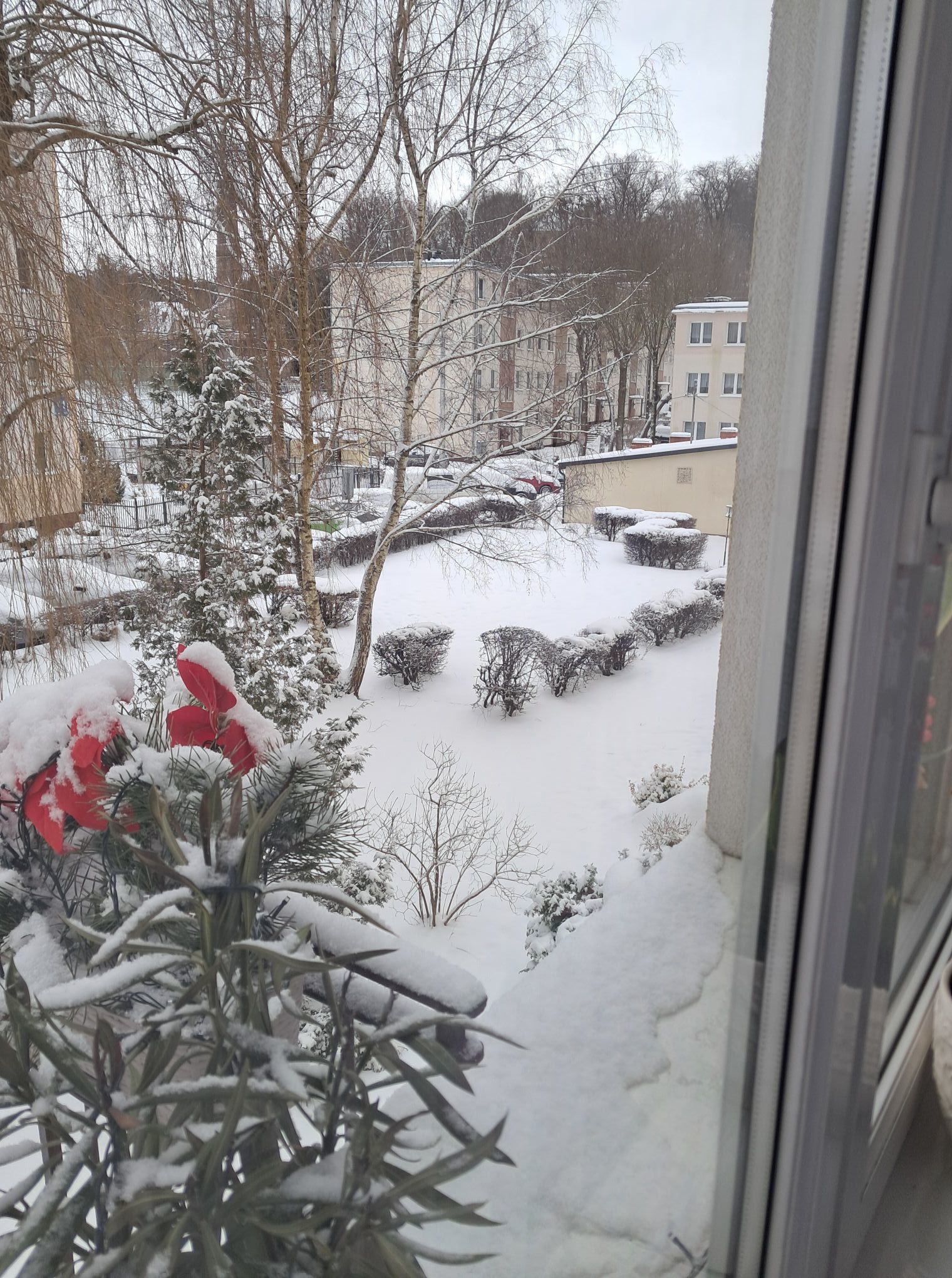 Zdjęcie: Zofia Kobiella