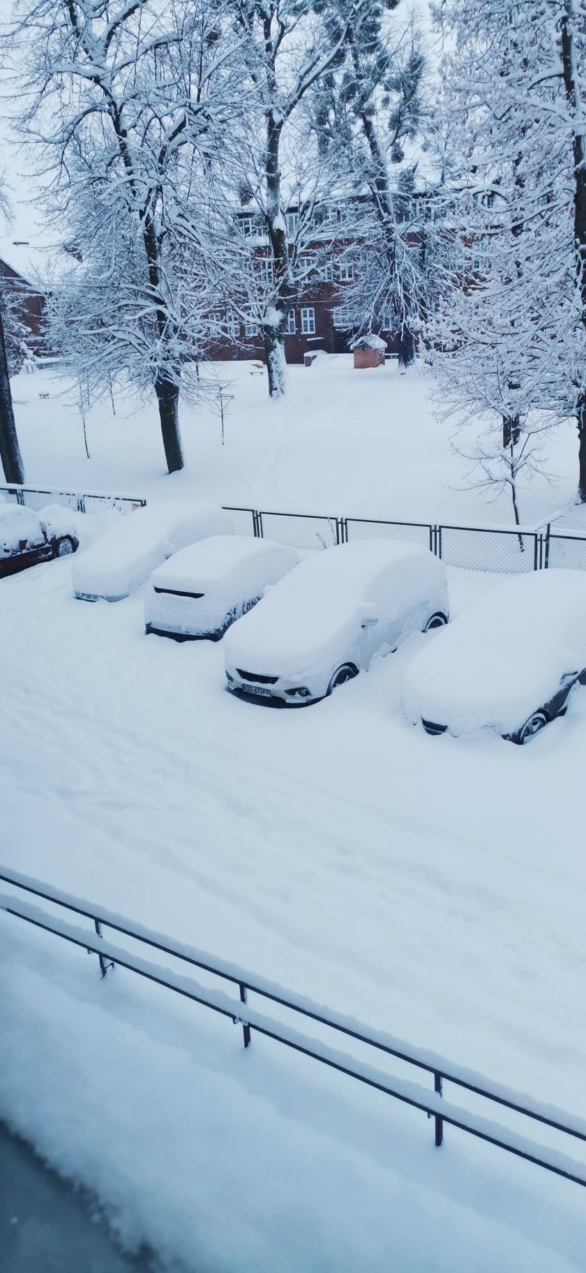 Zdjęcie: Anna Langowska