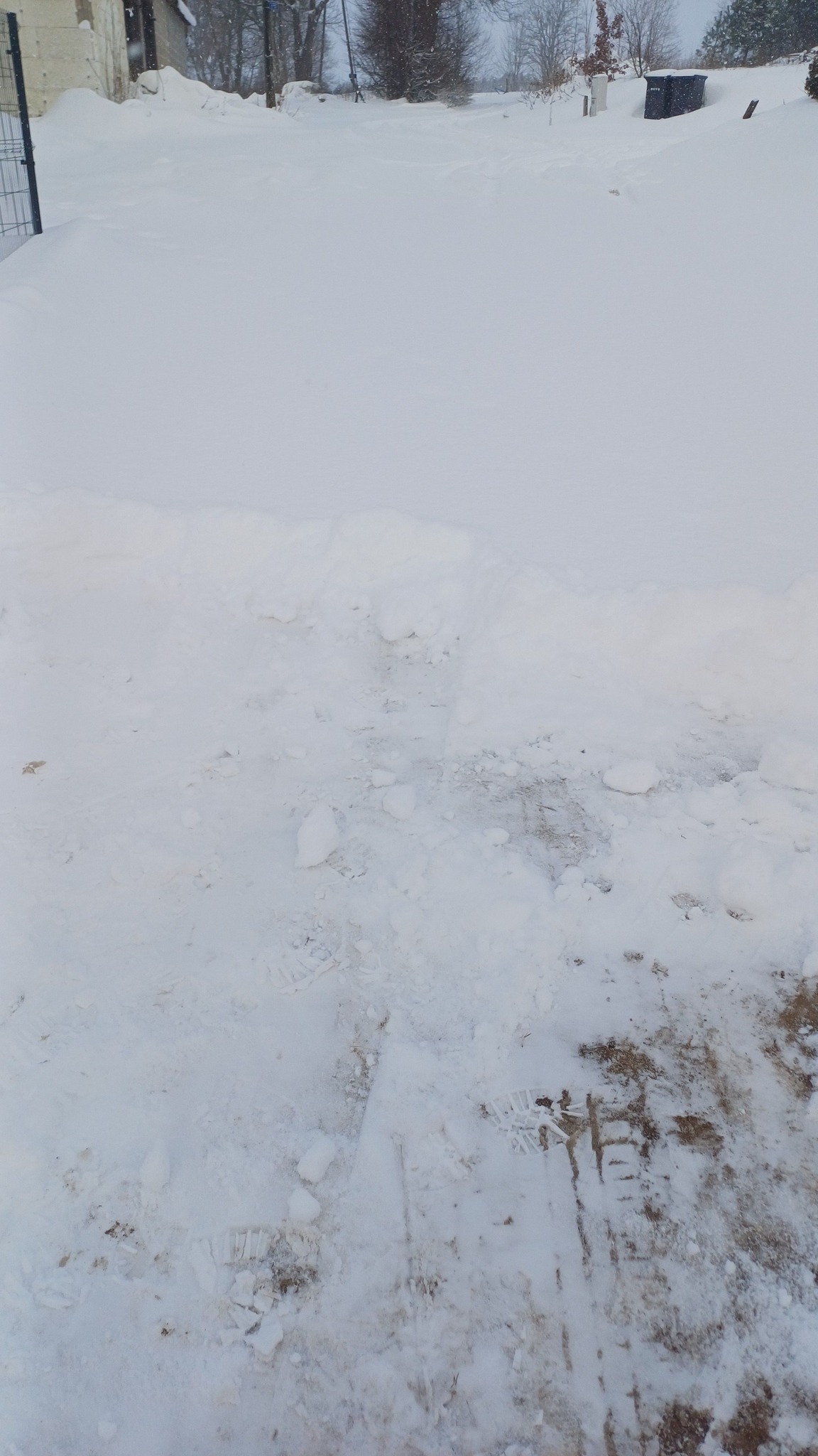 Zdjęcie: Katarzyna Pryczkowska