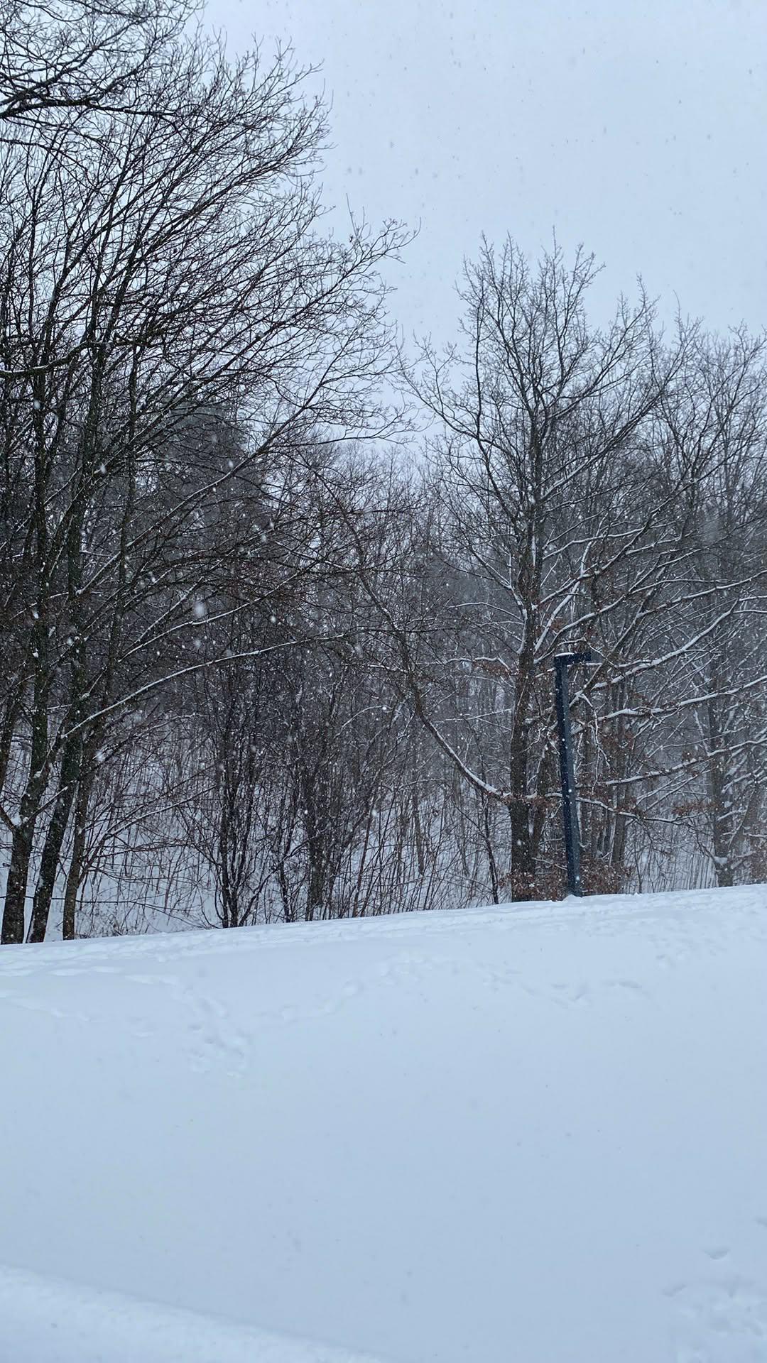 Zdjęcie: Krzysztof Wołejko