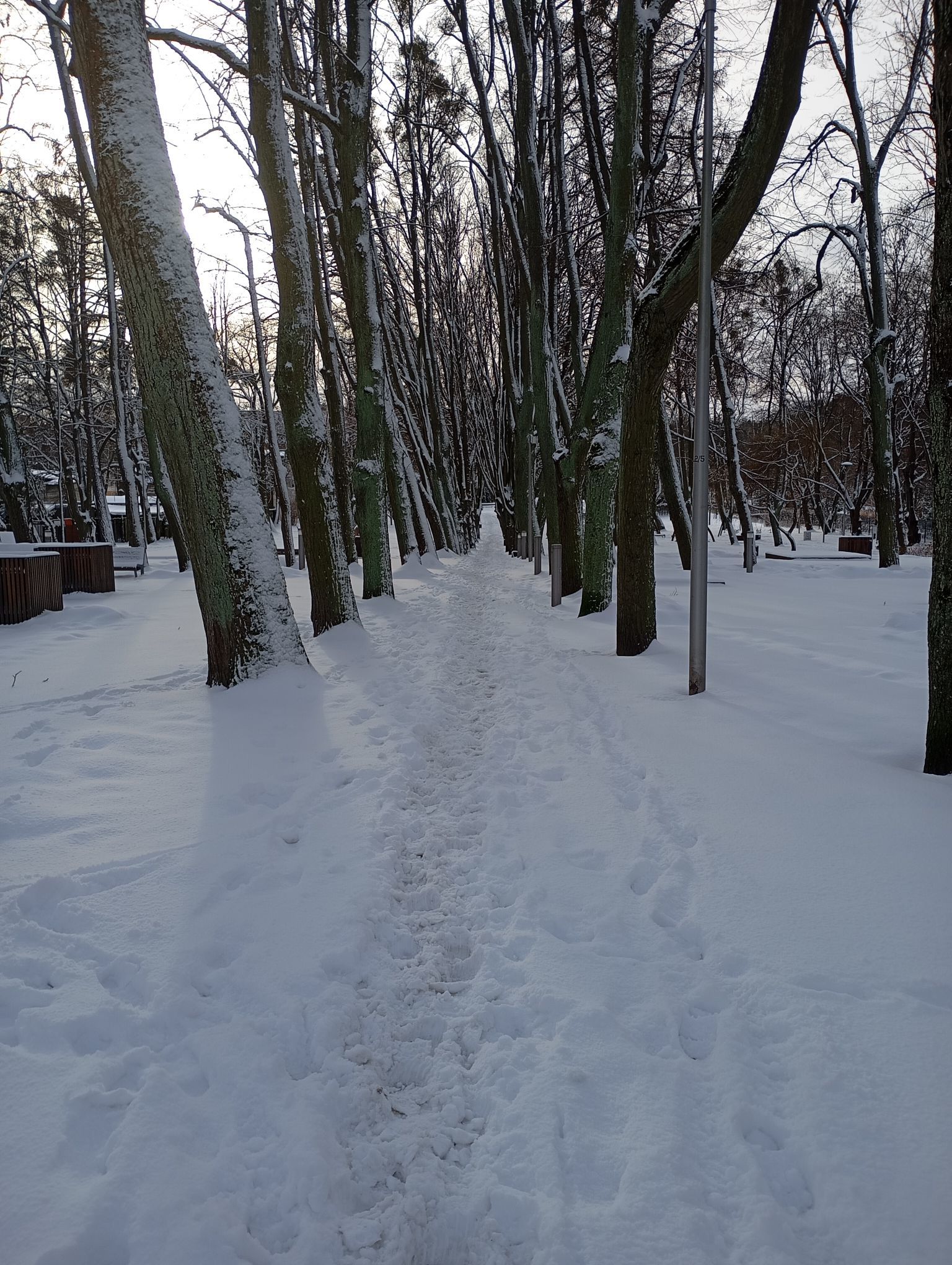 Zdjęcie: Paulina Roda