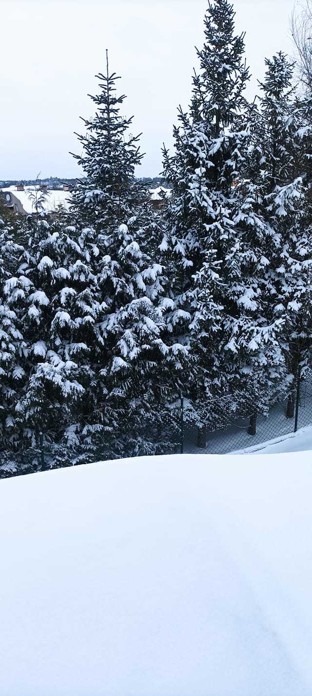 Zdjęcie: Jolanta Kryszewska