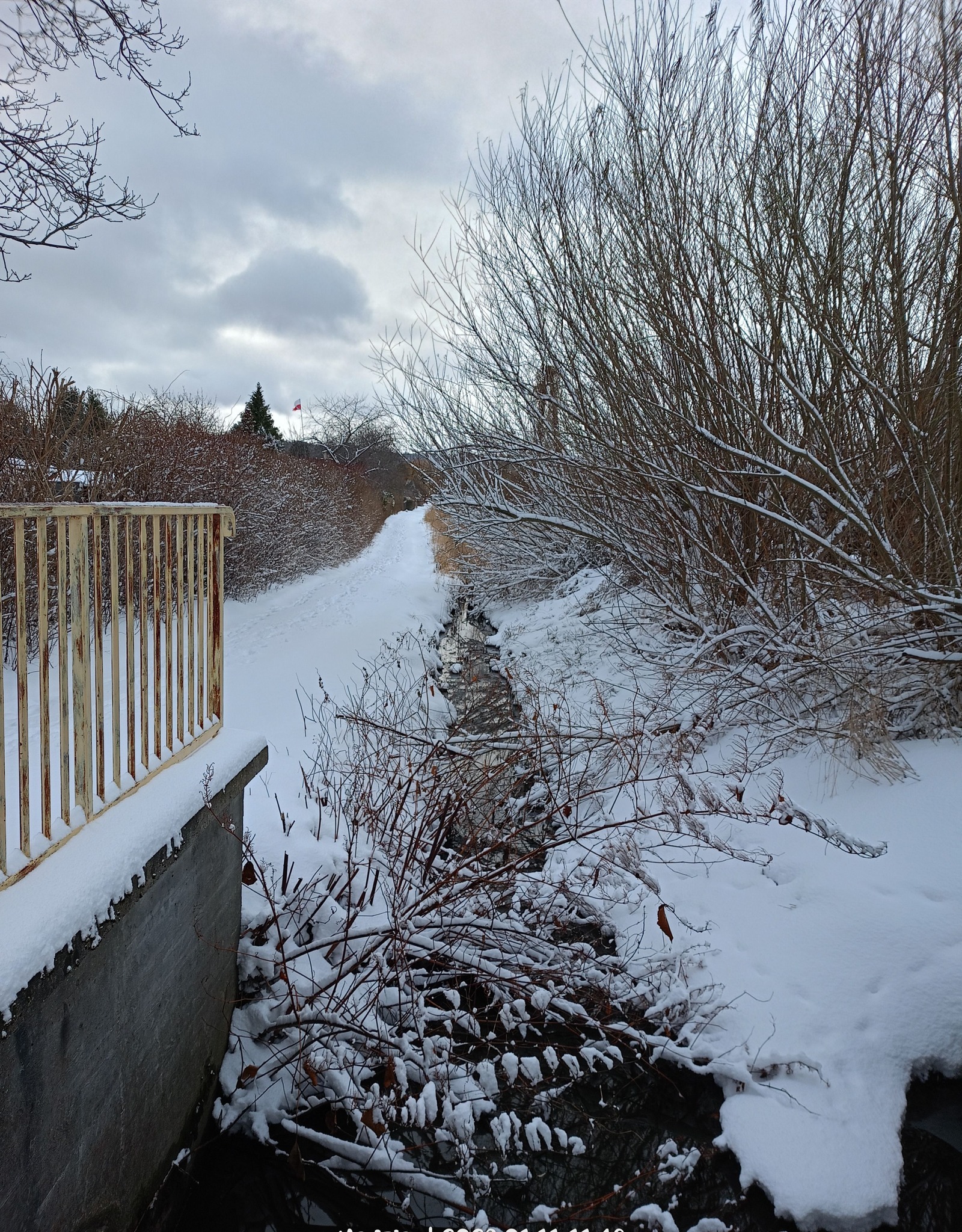 Zdjęcie: Magdalena Bork