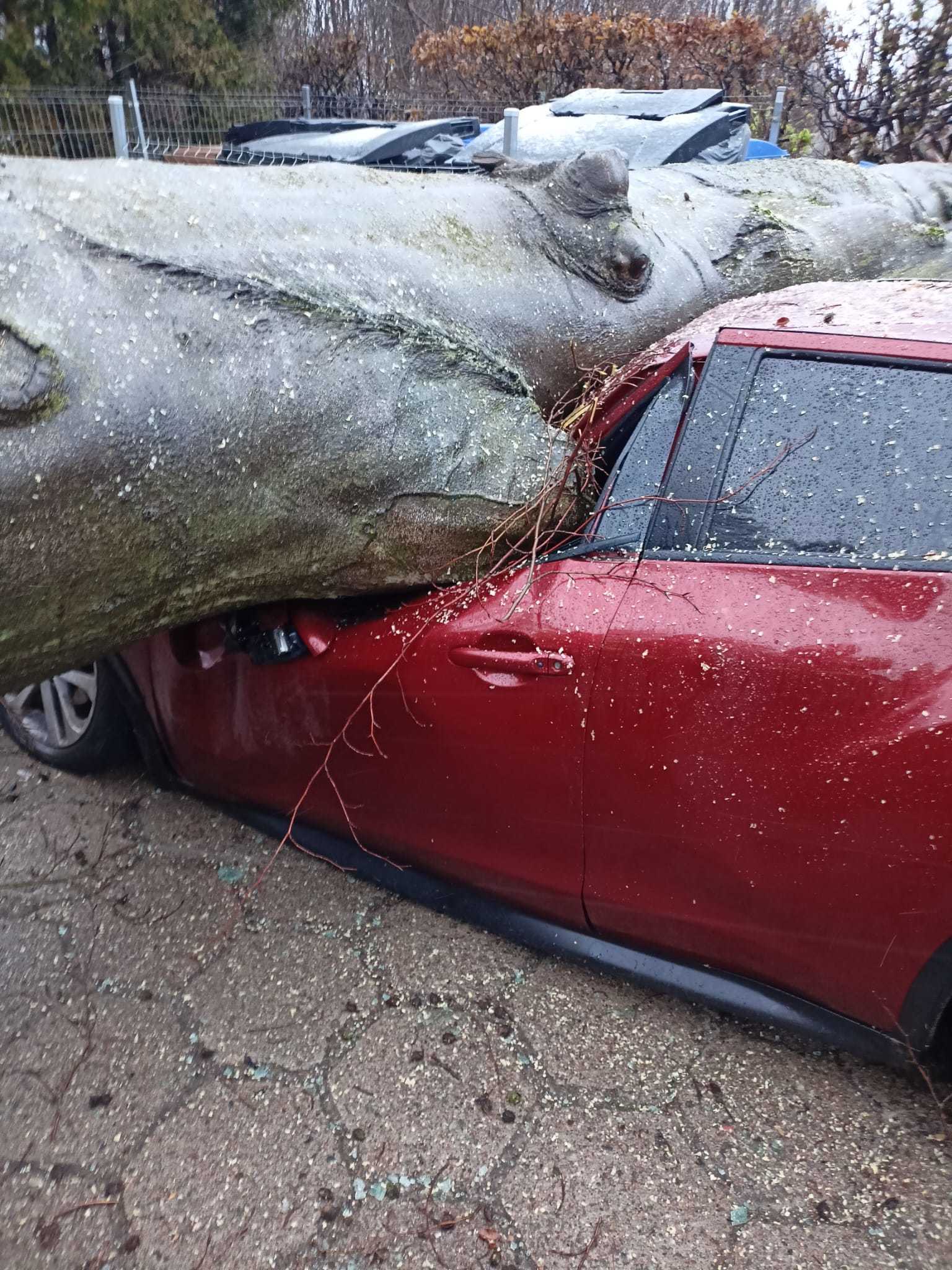 źródło: KM PSP Gdańsk