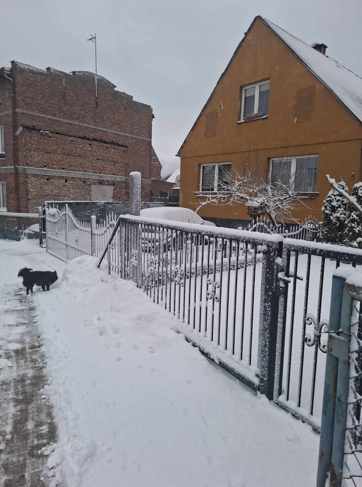 Zdjęcie: Urszula Konkel