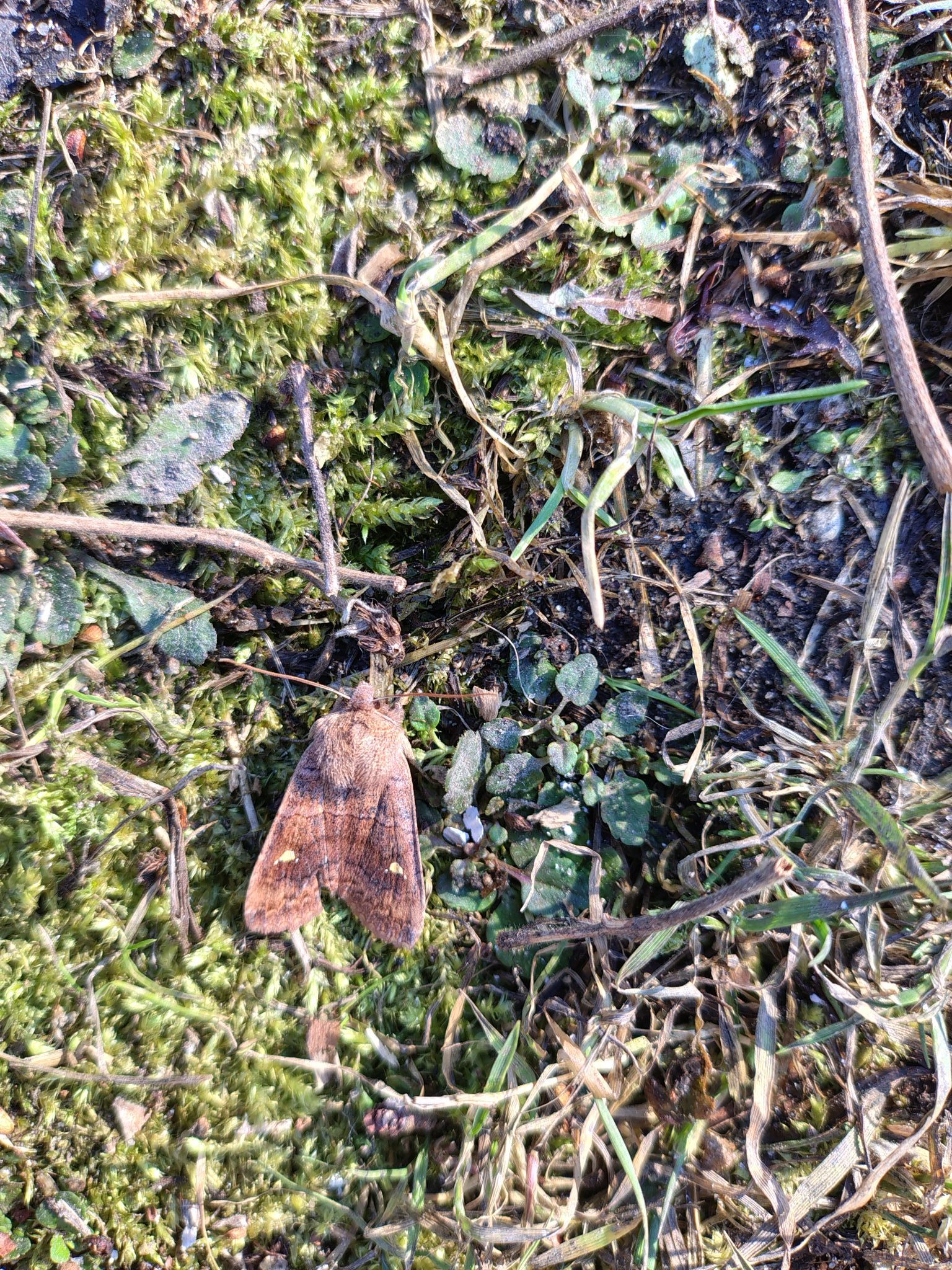 Zdjęcie: Anna Dymowska