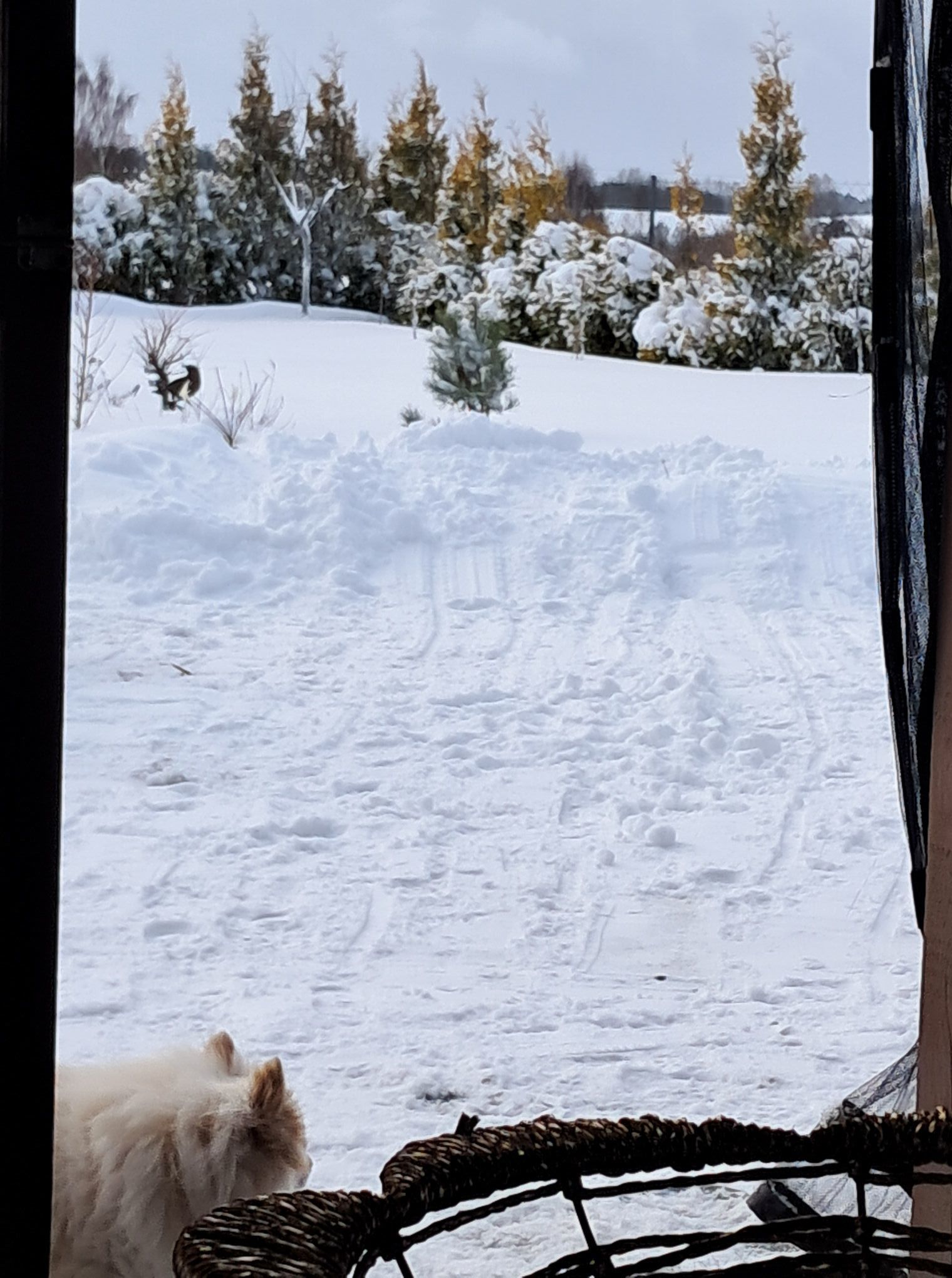 Zdjęcie: Mariola Pawlak