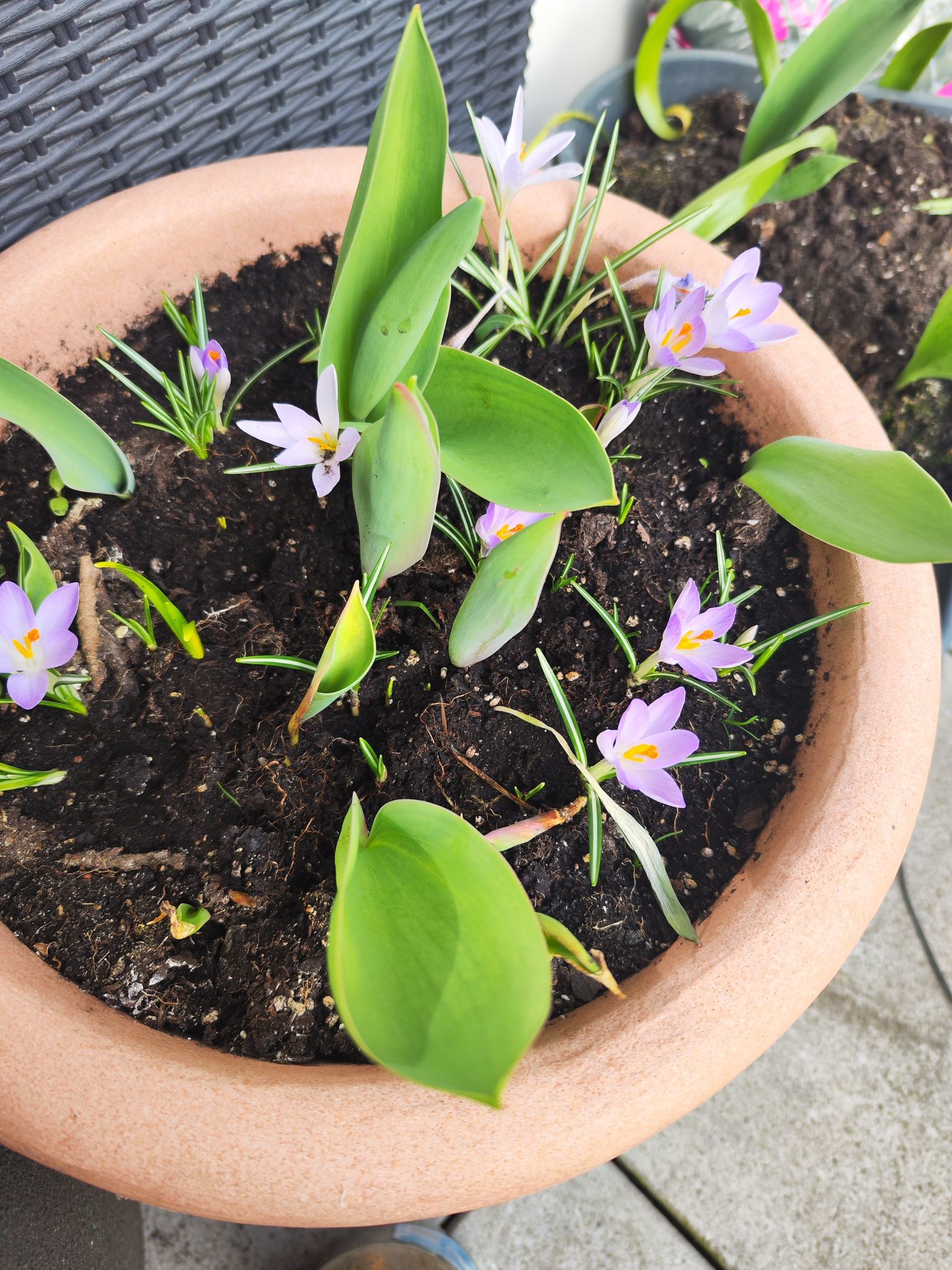 Zdjęcie: Ewa-Janina Ismail