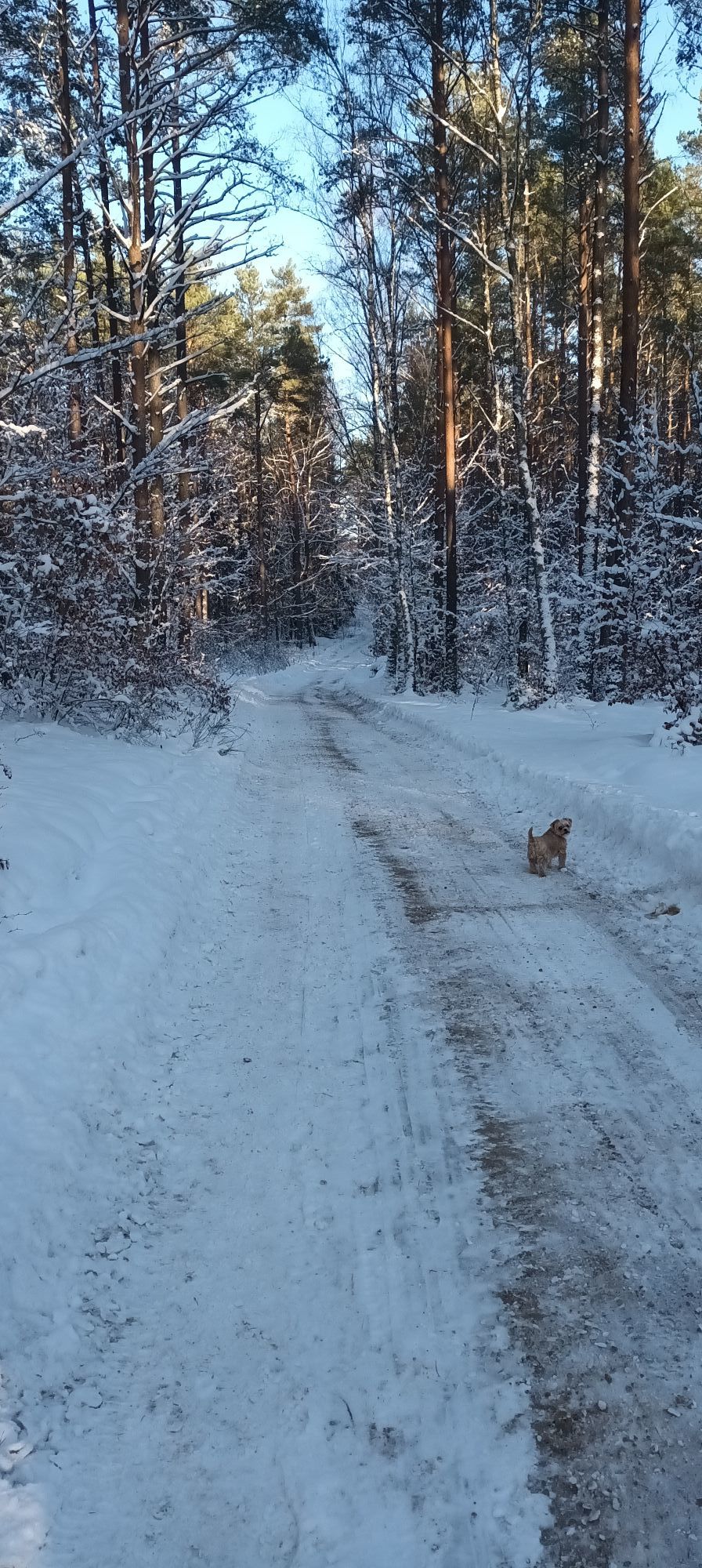 Zdjęcie: Lucyna Kwiatkowska