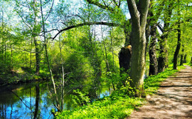 Spokojna alternatywa dla tłumów. Kociewie przed sezonem