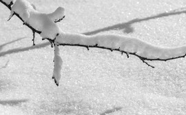 Niskie temperatury zagrażają życiu. Zadbajmy o najsłabszych