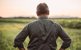 Rolniku, poniosłeś straty? Możesz jeszcze złożyć wniosek