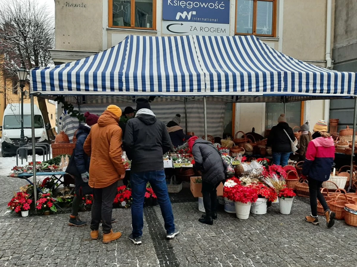 Zdjęcie