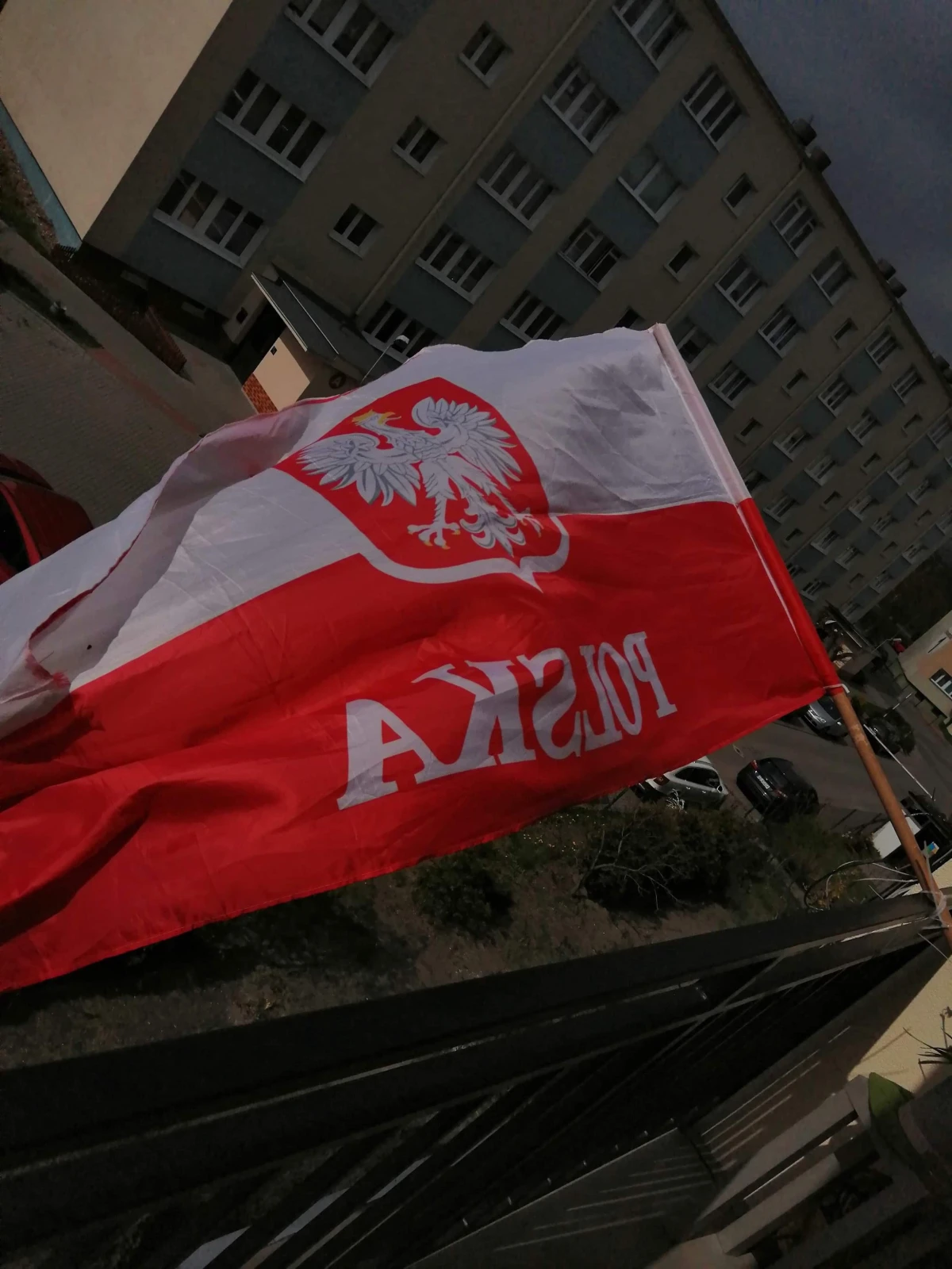 Zdjęcie
