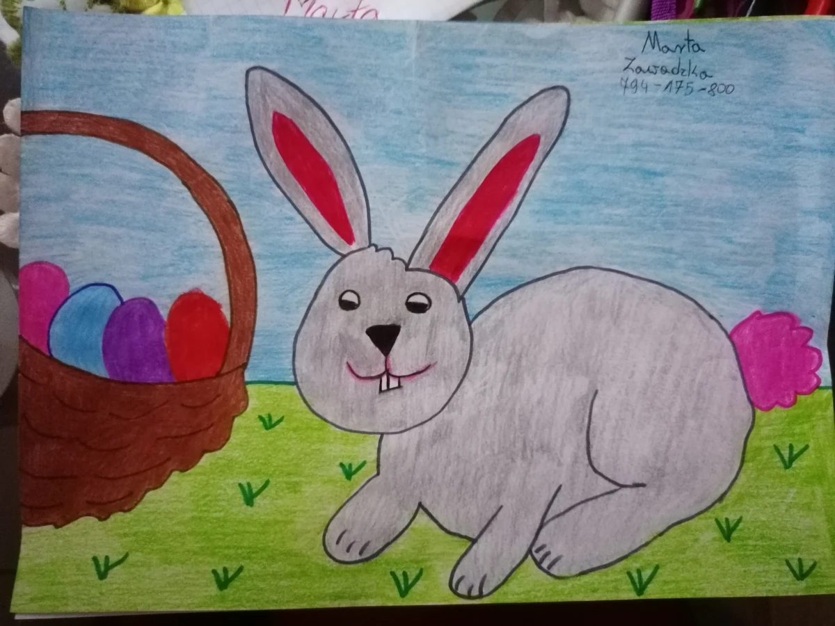 Zdjęcie