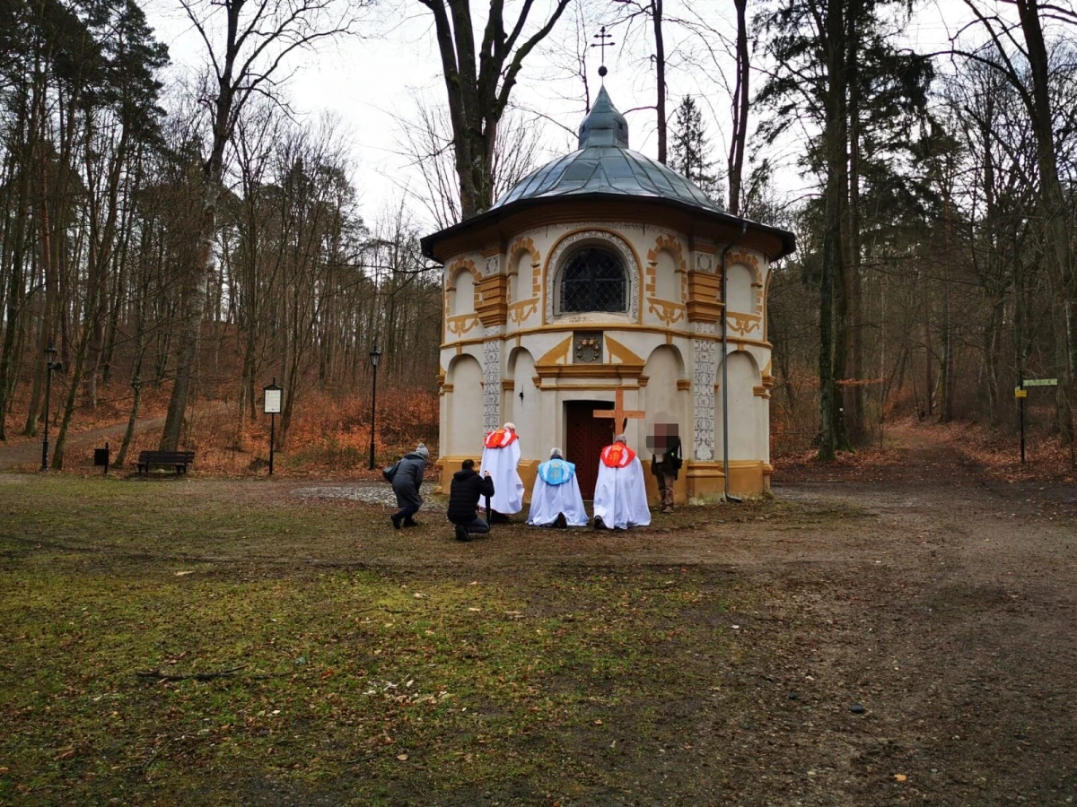 Zdjęcie