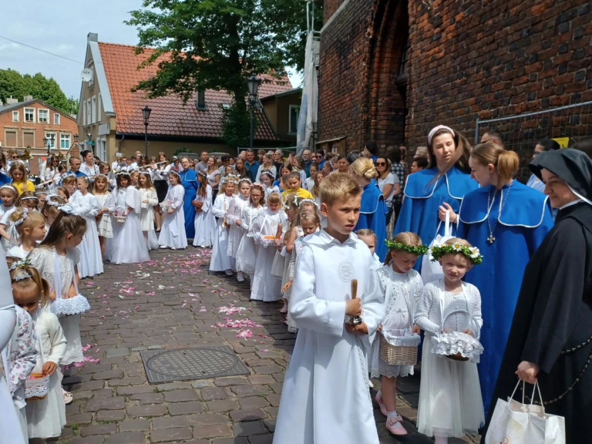 Zdjęcie
