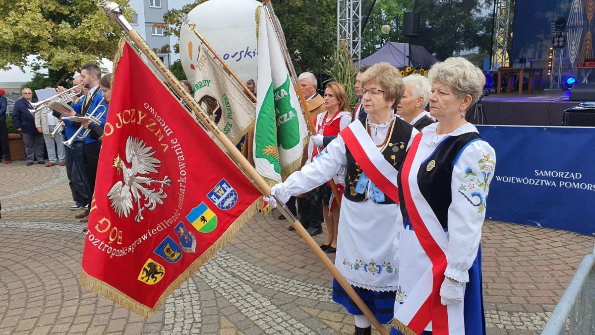 Zdjęcie