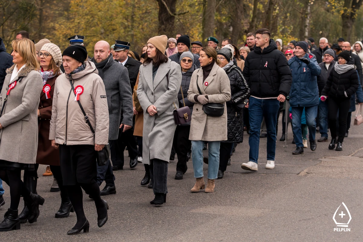 Zdjęcie