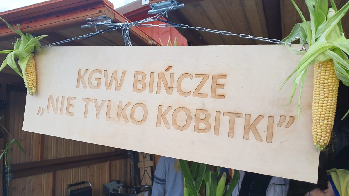Zdjęcie
