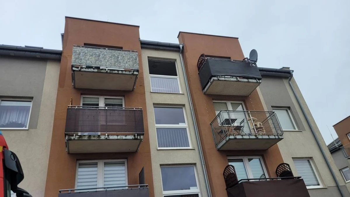 Zdjęcie