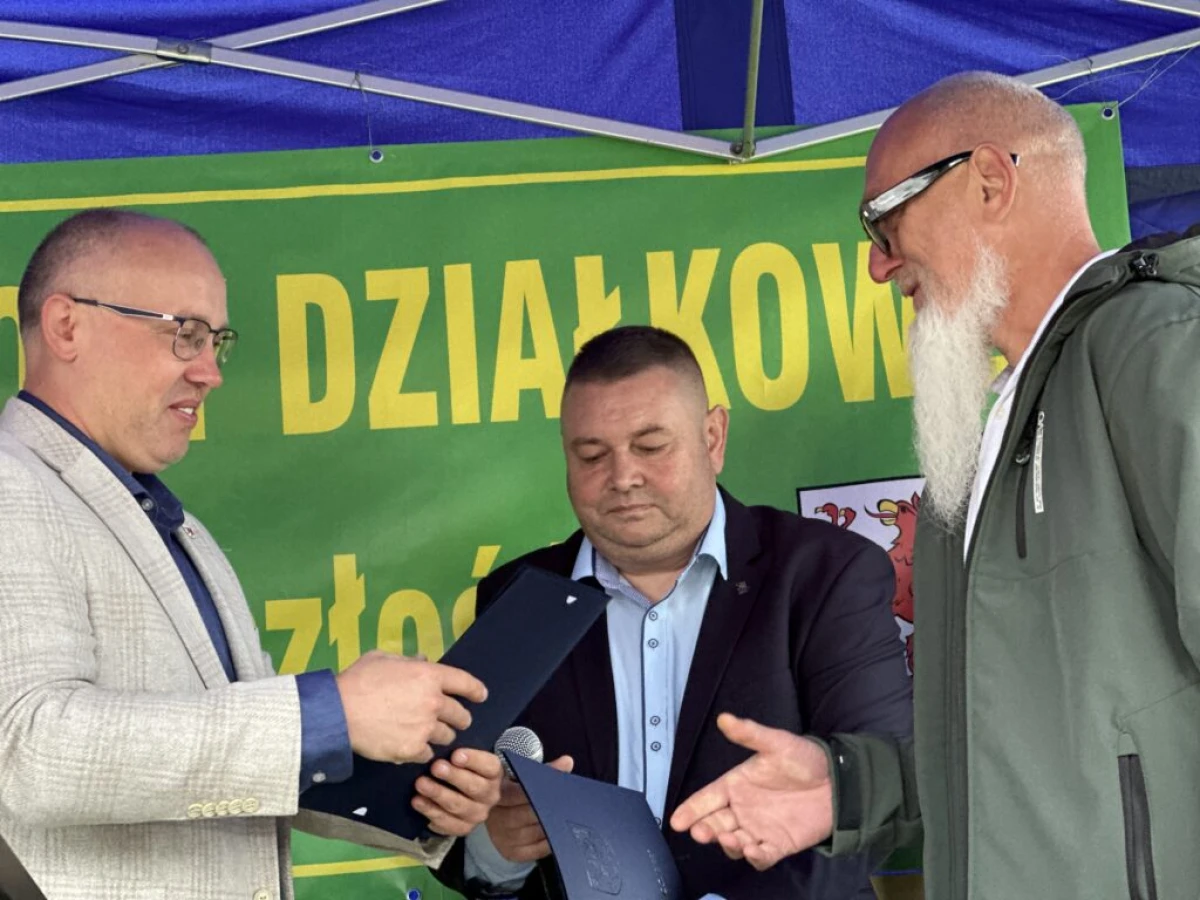 Zdjęcie