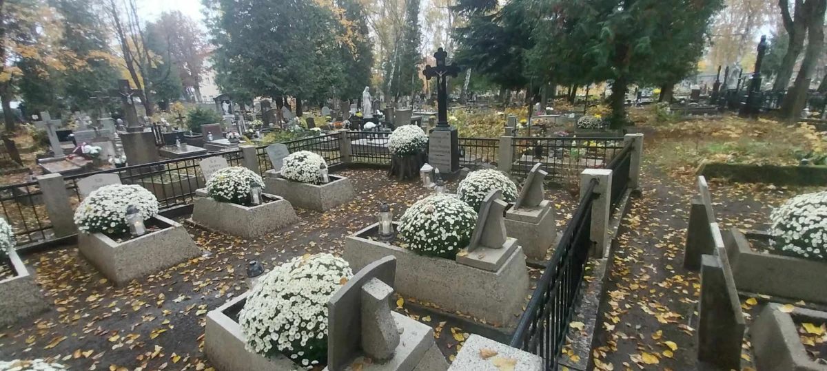 Zdjęcie