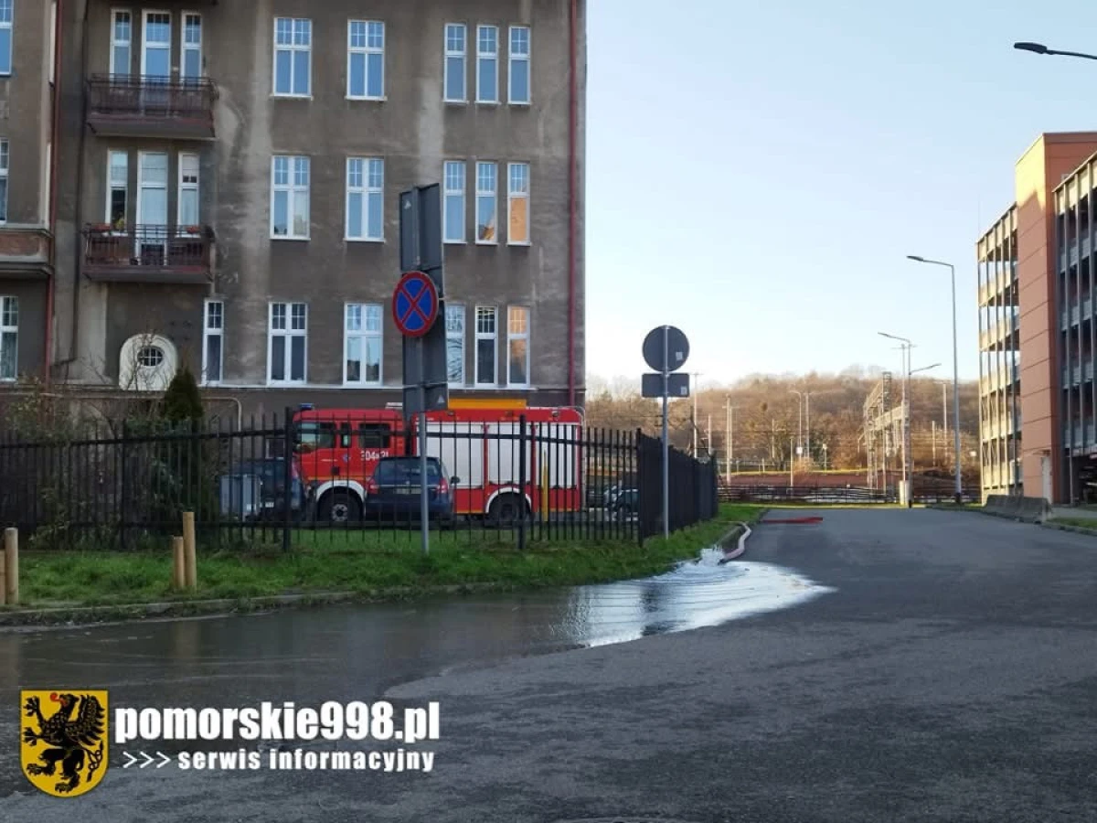 Zdjęcie